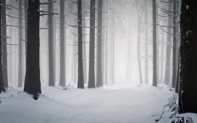 Fenomenele de iarnă ale naturii