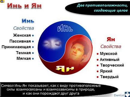 Valoarea simbolului yin-yang și aplicarea sa practică în conformitate cu feng shui, studioul casei