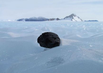 10 Цікавих фактів про Антарктиду