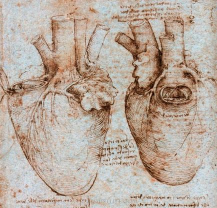 15 Descoperiri și invenții, a căror apariție a implicat marele Leonardo da Vinci