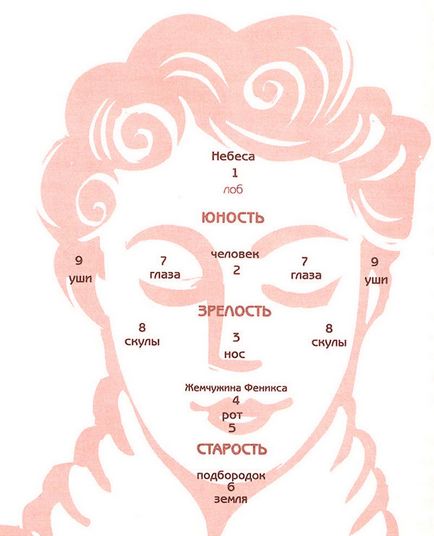 9 Puncte pe fața care indică o predispoziție spre avere și