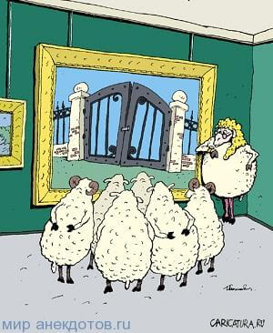 Анекдоти про вівцю, світ анекдотів