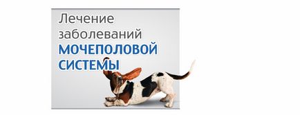 Antiseptic pentru animale