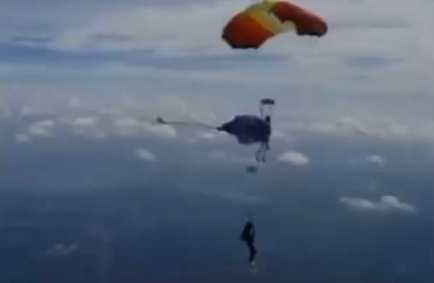 Aviatus особливі випадки при стрибках з парашутом типу крило
