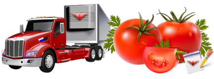 Автоперевезення свіжих помідорів по всій росії, компанія ооо ТТК sapsan logistic