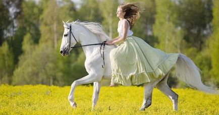 Fehér ló egy álom