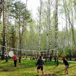 Birch Grove