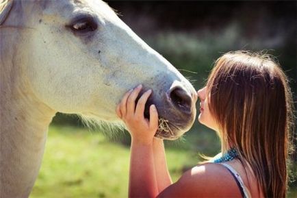 Câine non-pedigree - pro și contra - site despre cai