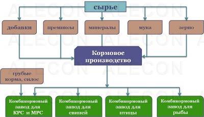 Plan de afaceri pentru producția de hrană pentru animale