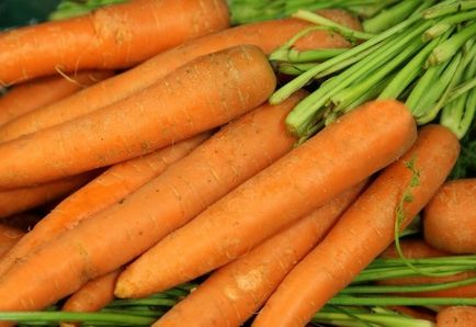 Bolile morcovilor și lupta împotriva acestora, fotografii, clipuri video