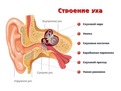 Болить зуб і стріляє у вусі