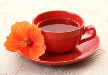 Hibiszkusz tea hasznos tulajdonságokkal és ellenjavallatok, az egészségügyi előnyei és hátrányai