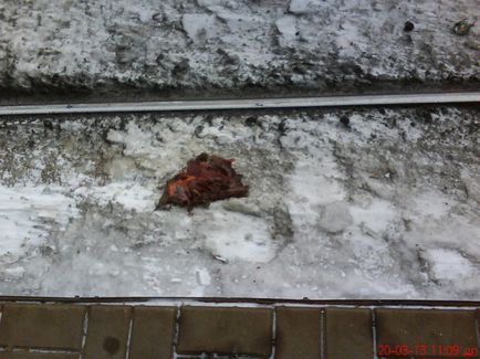 Man szeletelt vonat (fotó) (elölt) Man szeletelt vonat (fotó)
