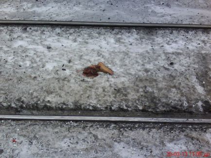 Omul a fost tăiat cu trenul (fotografie)