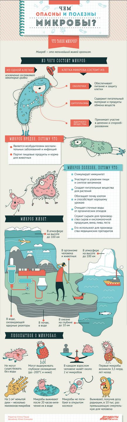 Ce sunt infografiile periculoase și utile ale microbilor, infografice, întrebări-răspunsuri, argumente și fapte