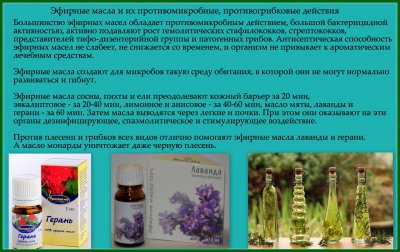 Чим небезпечні патогенні мікроорганізми і як вони проникають в організм