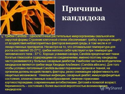 Чим небезпечні патогенні мікроорганізми і як вони проникають в організм