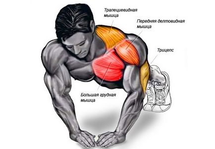 Ce pompează împingerea de la podea, împingeri pentru mușchii pectorali, bicepsi, triceps
