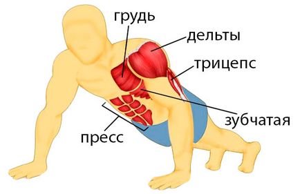 Ce pompează împingerea de la podea, împingeri pentru mușchii pectorali, bicepsi, triceps