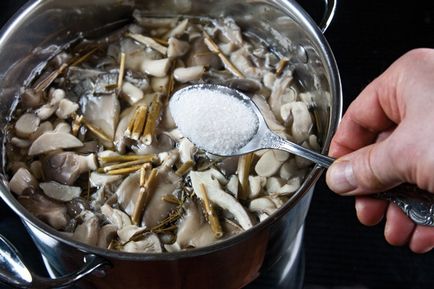 Що можна приготувати з варених глив, як правильно варити гриби рецепти з відео