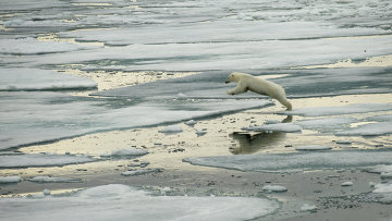 Zece întrebări și răspunsuri despre schimbările climatice - o lume a predicțiilor