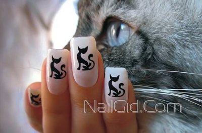 Дизайн нігтів - кішки бездоганний манікюр з малюнками кішки, фото і відео