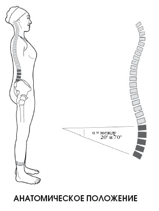 Mișcarea coloanei vertebrale