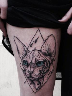 Schițe, fotografii și semnificația unui tatuaj pentru pisici