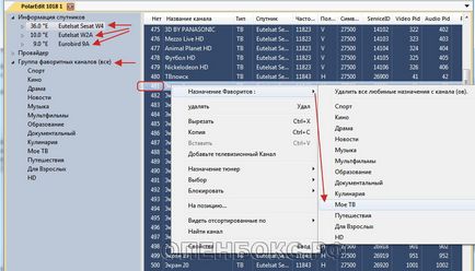 Efectuați salvarea setărilor și editarea canalelor - satelit și iptv