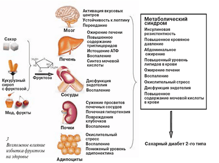 Фруктоза, яку ви не їсте що потрібно знати, щоб не нашкодити