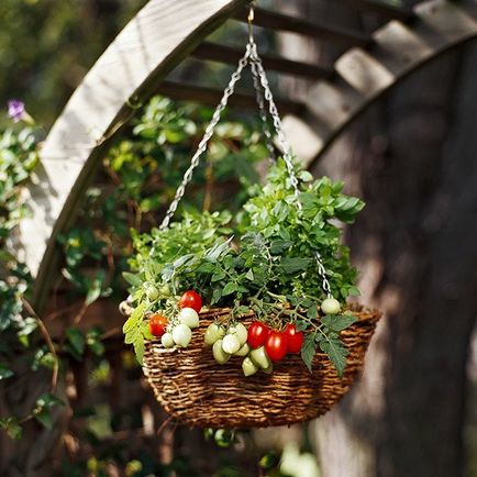 Grădinărit, cultivarea în comun a legumelor și a florilor într-un container