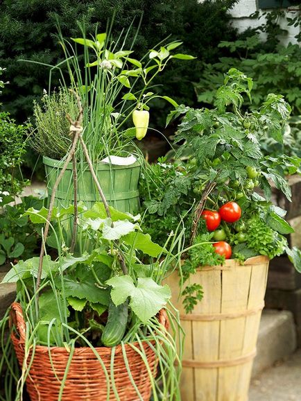 Gardening, спільне вирощування овочів і квітів в контейнері