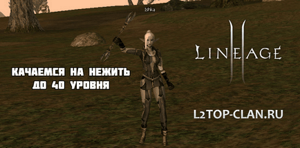 Ahol swing a belemerül a 40-es szintű Lineage 2 közjáték, Lineage 2 (közjáték) Amennyiben a swing a élőhalott szinten 40 Lineage 2 közjáték, Lineage 2
