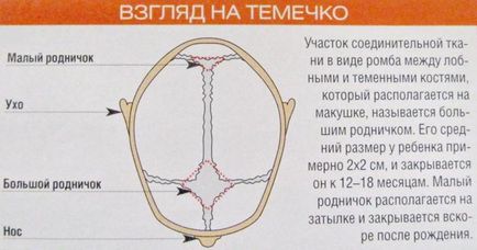 Гематома на голові у новонародженого - види, причини і наслідки - my life