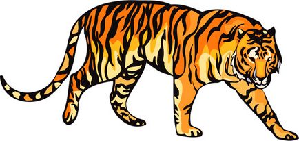 Horoscop pentru tigru pentru anul 2018 (barbati si femei)