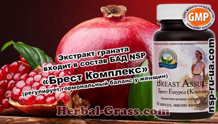 Гранат - корисні, лікувальні властивості соку, протипоказання, препарат (БАД) в капсулах