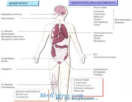 Bolile infecțioase la pacienții cu imunitate redusă