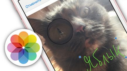 Ios 10 cum să atragă, să adăugați text și lupă la fotografii în iphone și ipad, blog Apple