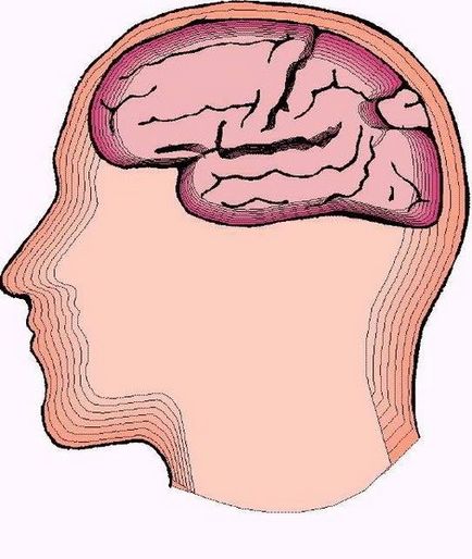 IQ teszt legokosabb a földön (fotó 4) (teszt) IQ teszt legokosabb a földön (4 fénykép)