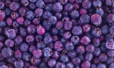 Saskatoon előnyök és káros az emberi egészségre (Saskatoon) Saskatoon előnyök és káros az emberi egészségre