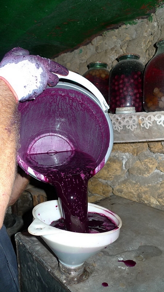 Cum se face vinul moldovenesc (foto), 