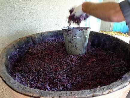Як роблять молдавське вино (фото), «країна рад»