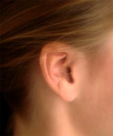 Cum pot urechile să învețe despre natura persoanei