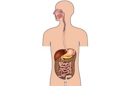 Cum sa slabesti cu pancreatita