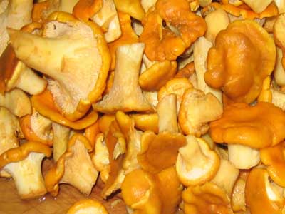Як правильно солити гриби лисички