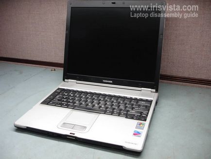 Cum să dezasamblați un laptop toshiba portege s100 - blogoglio al romanului păianjenului