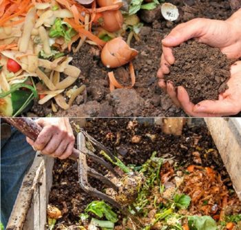 Cum sa faci compost din gunoi de grajd si retete de pasari, date