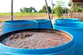 Cum sa faci compost din gunoi de grajd si retete de pasari, date