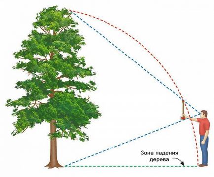 Cum de a tăia un copac - instrucțiuni detaliate - un teren de uz casnic