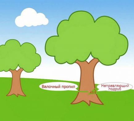 Hogyan vágja le a fát - részletes útmutató - termőföld
